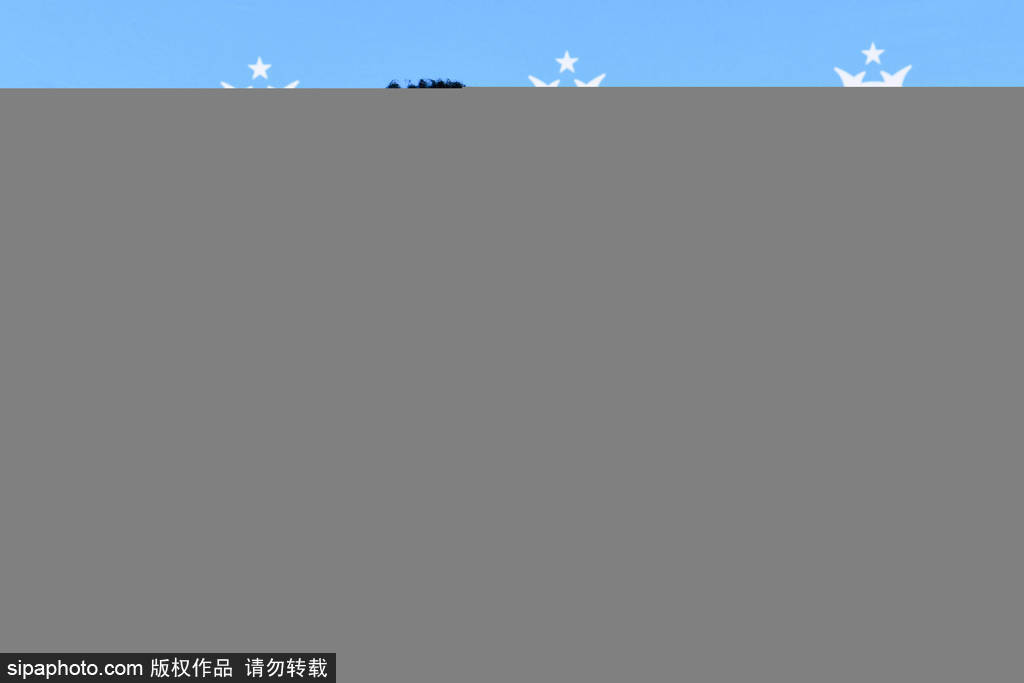 image, 在季前赛中, li